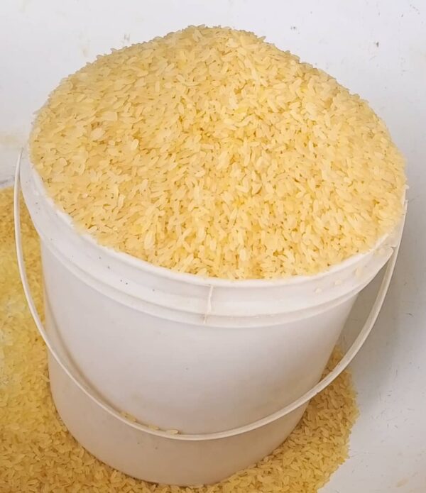 Rice 1 Rubber Paint (Foreign Short Grain)