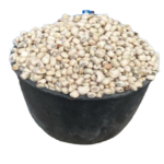 beans