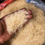Rice