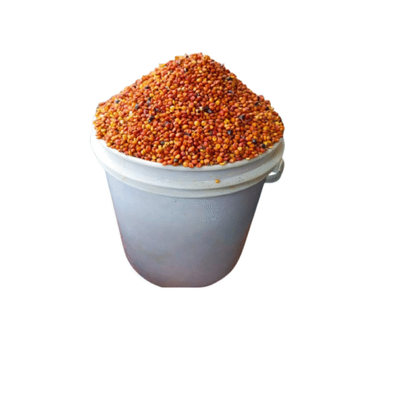 red guinea corn