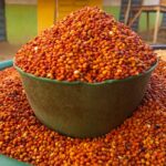 Red Guinea Corn
