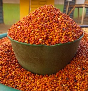 Red Guinea Corn